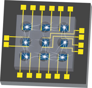 Sketch of an array of organic FETs on an organized neural network